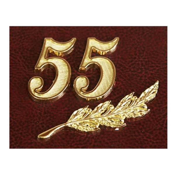 С юбилеем 55 лет мужчине