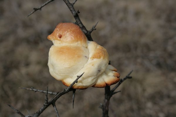 Сорочьи Жаворонки
