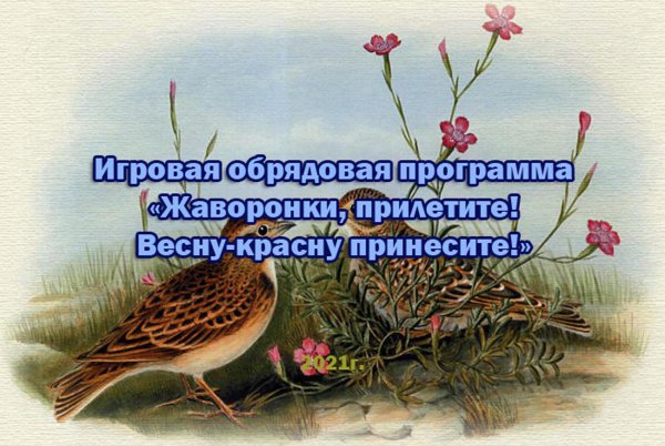 Народный праздник сороки Жаворонки 22