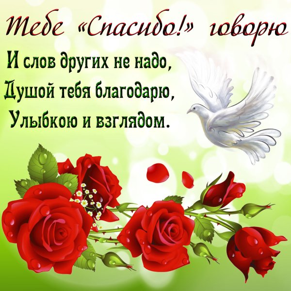 Открытки с благодарностью спасибо