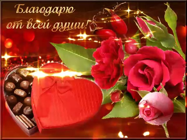 Спасибо за поздравления