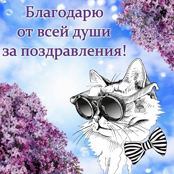 Спасибосза поздравления