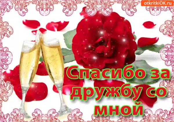 Открытки спасибо за дружбу