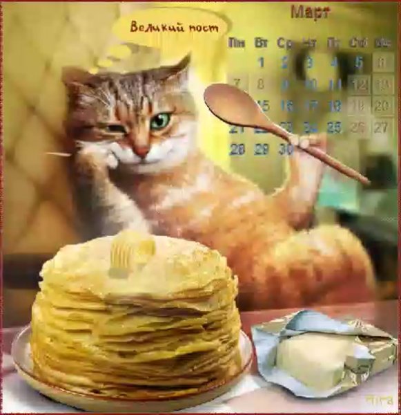 Кот с блинами на Масленицу
