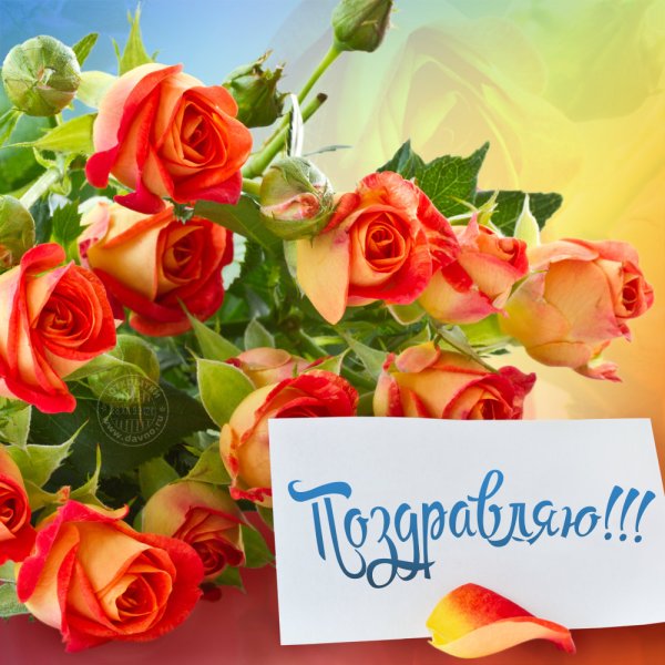 Открытки поздравления