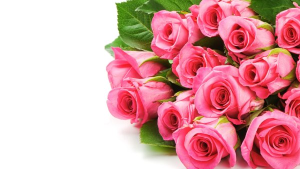 Поздравления с днём рождения женщине