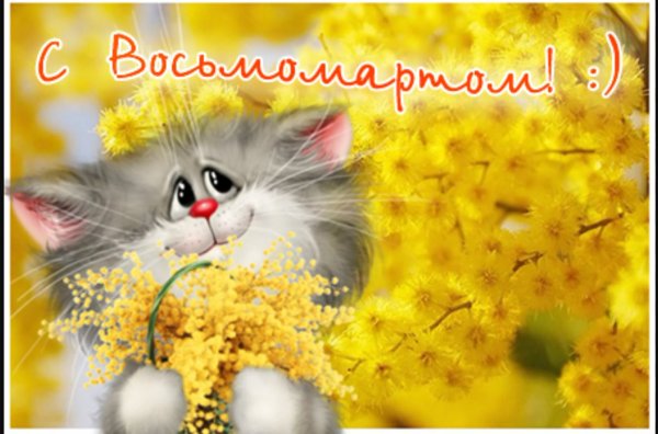 С 8 марта котенок