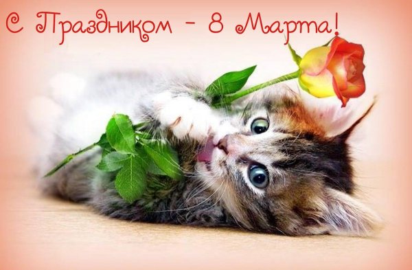 Открытки с 8 марта с котятами