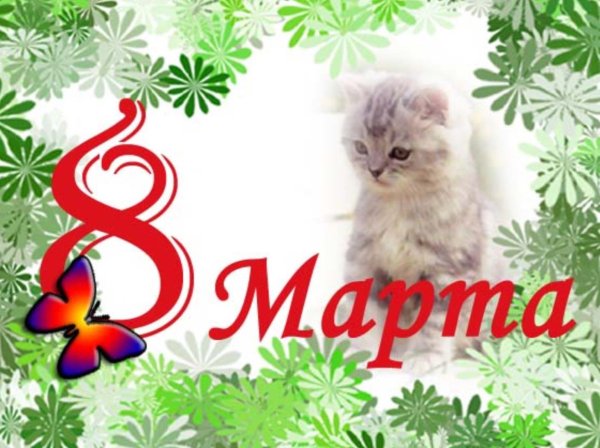 Котенок поздравляет с 8 марта