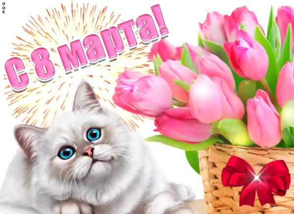 Котенок поздравляет с 8 марта