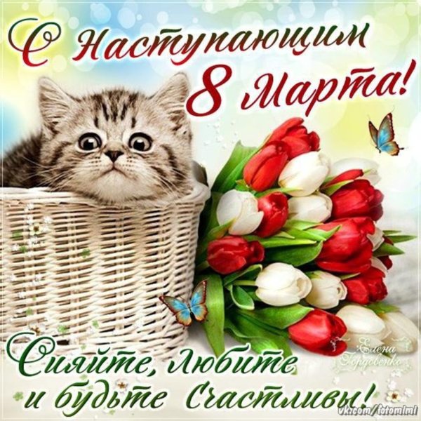 C yfcnegf.obv 8 vfhn