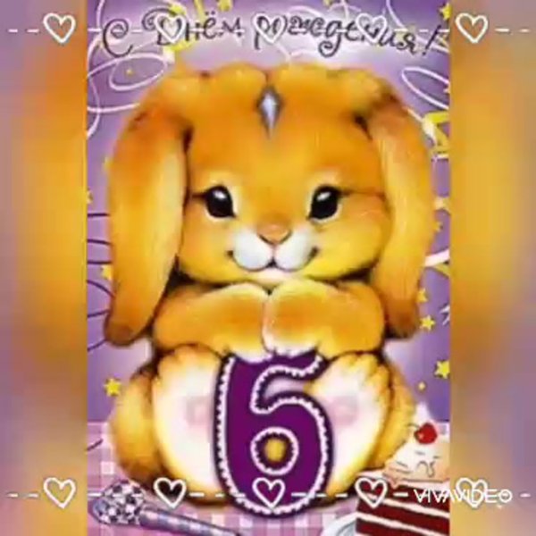 Цифра 6 месяцев