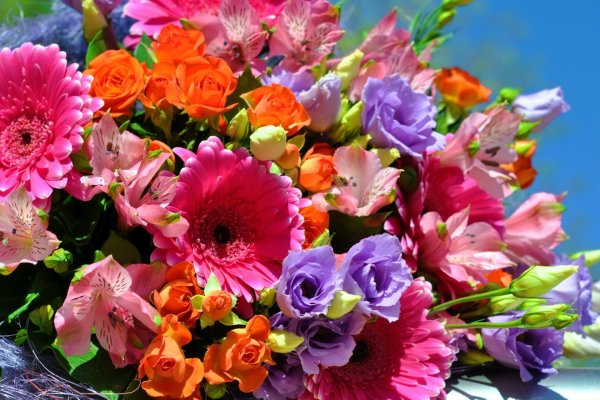 Картинки цветы красивые поздравления (43 фото)