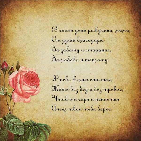 Соня Эймс картины