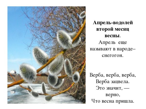 Апрель второй месяц весны
