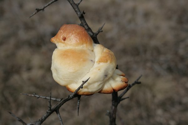 Жаворонки праздник