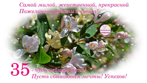 Поздравления с днём рождения женщине 35 лет