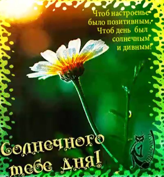 Пожелание хорошего солнечного дня