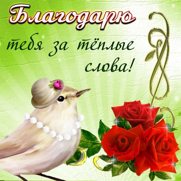 Торт шампанское цветы
