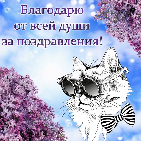 Спасибки за поздравления