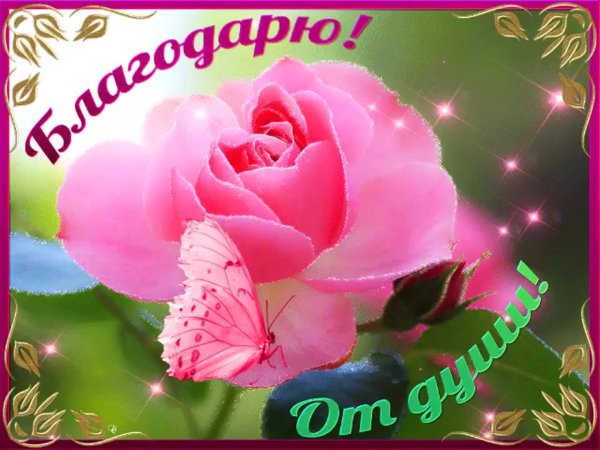 Открытка с днем рождения женщине шикарные
