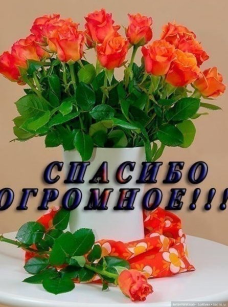 Открытки спасибо большое