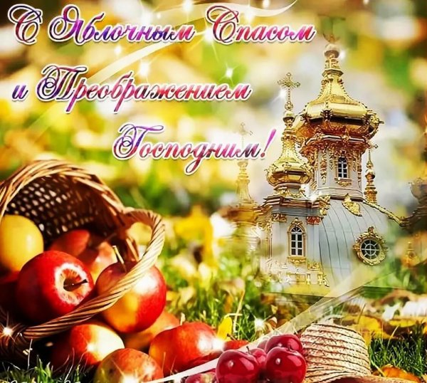 Яблоня домашняя Медуница