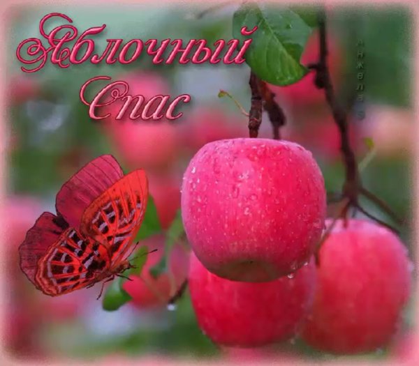 Яблочный спас с ангелочками открытки