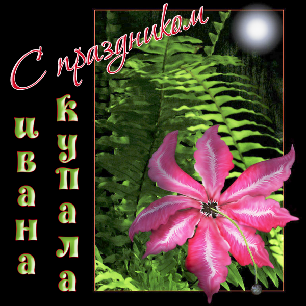 Открытки с днём Ивана Купалы
