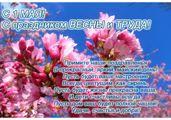 Поздравляем на прозрачном фоне