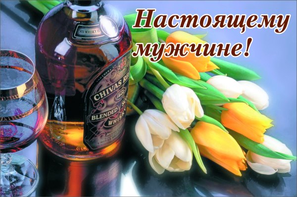 Красивые поздравления с 23 февраля