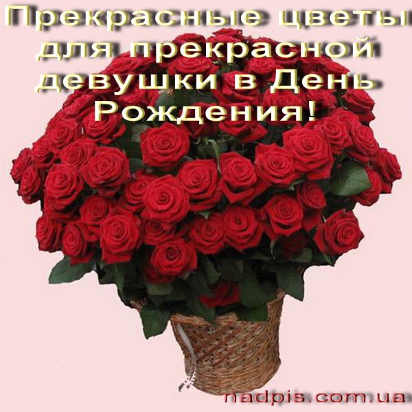 С днём рождения 35 лет девушке