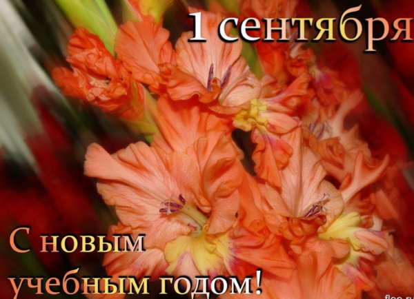 Открытка "с днем знаний"