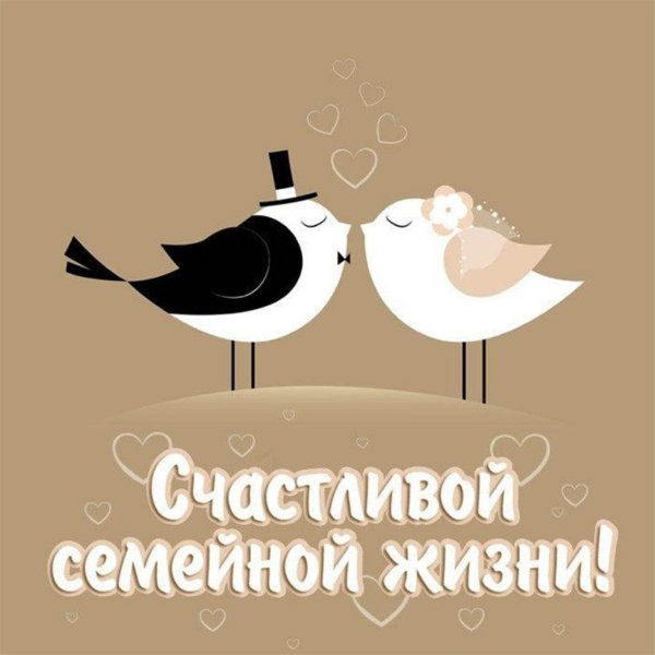 С днем свадьбы прикольные