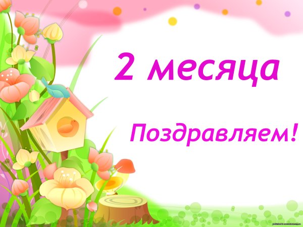 Именные растяжки из фетра