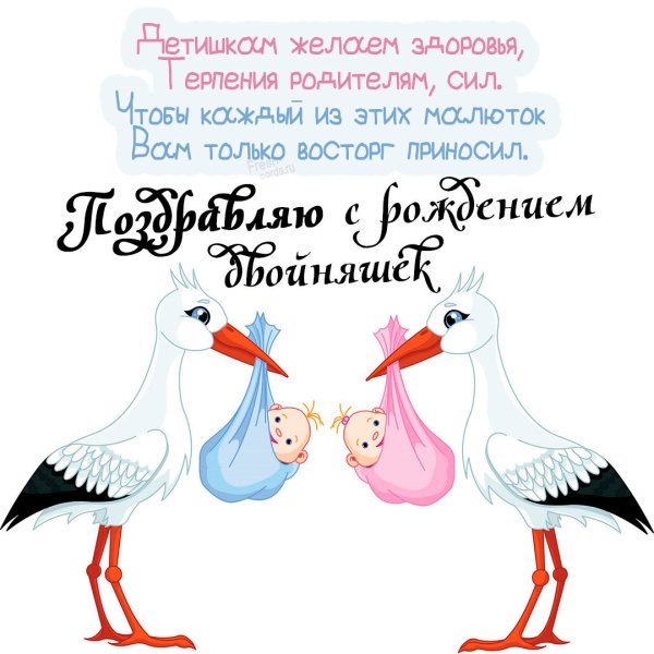 Анна Геддес Близнецы
