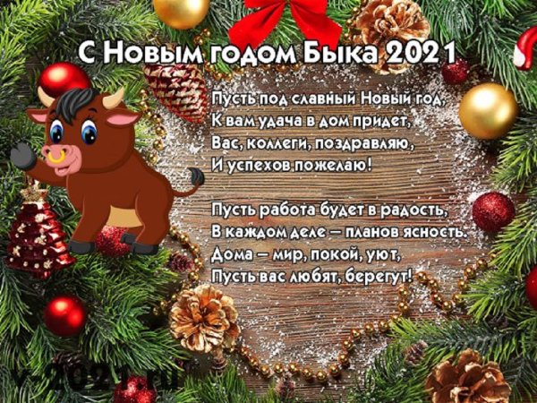 Новогодние поздравления