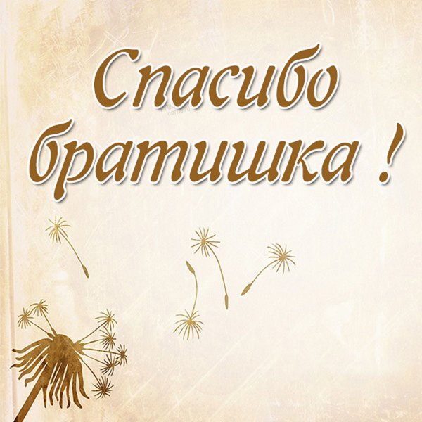 Спасибо запоздравлкния