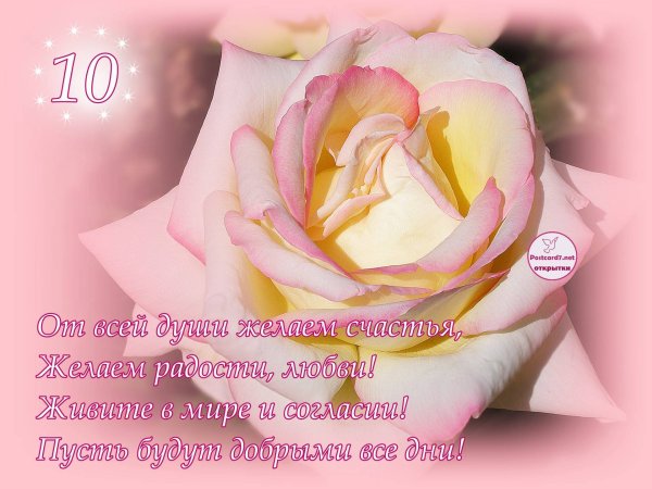 10 Лет свадьбы поздравления