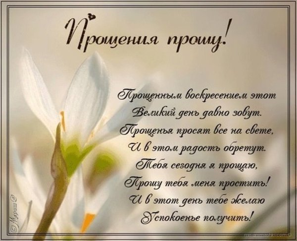 Прощённое воскресенье в 2022