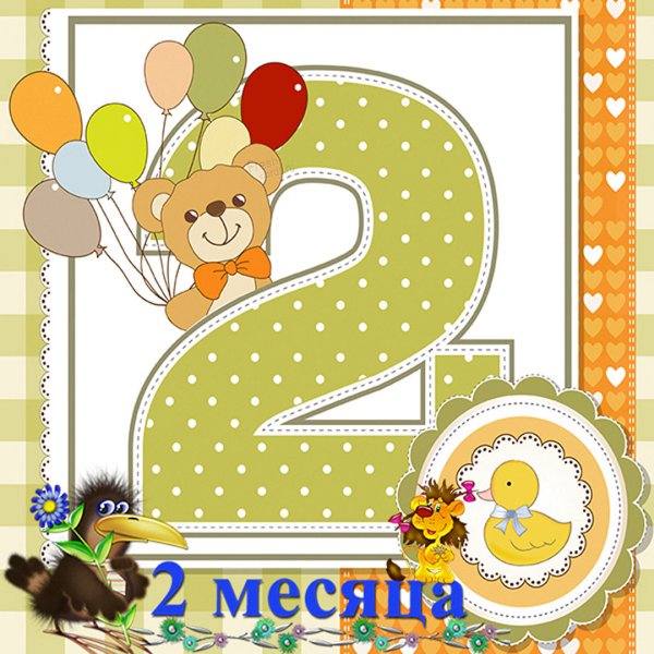 Данечке 8 месяцев