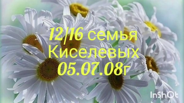 Открытки с ромашками