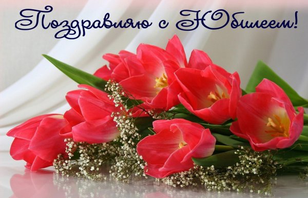 Цветы на белом фоне для открытки