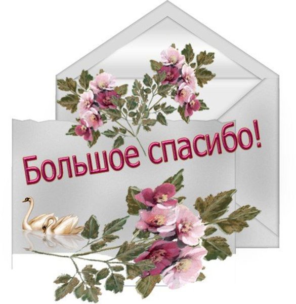 Красивые Стикеры с благодарностью