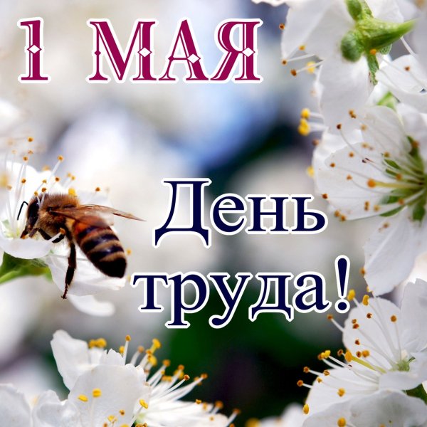 С праздником 1 мая поздравления