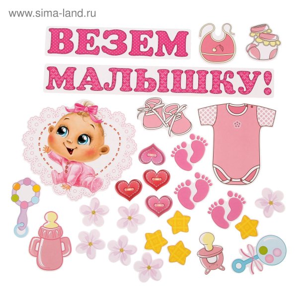 Наклейки на выписку из роддома девочек