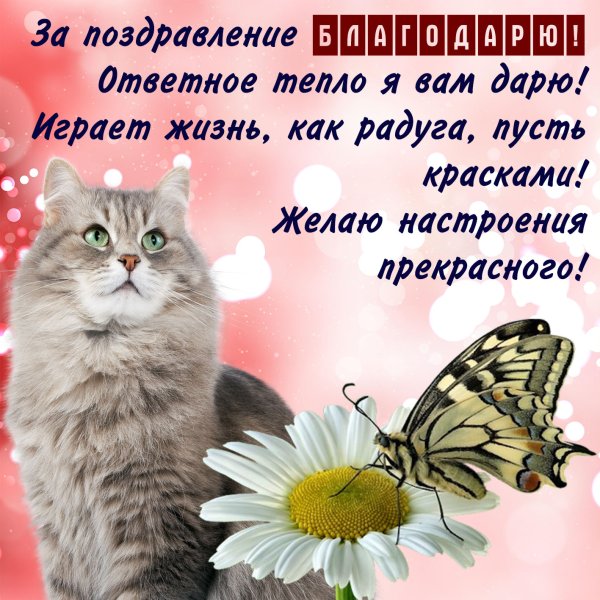 Открытка спасибо