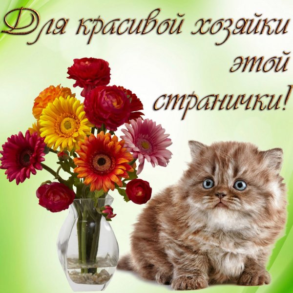 Открытки на каждый день