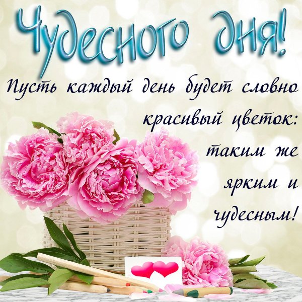 Поздравление с добрым днем