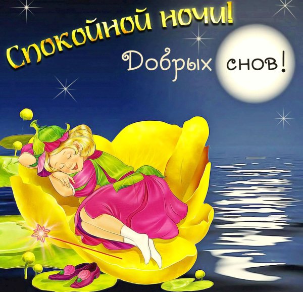 Спокойной ночи картинки прикольные